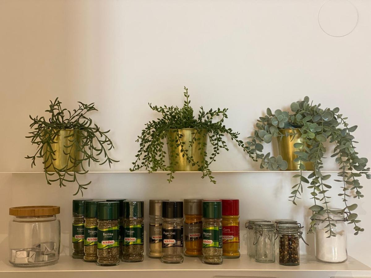 Green Corner Of Bovec - Apartment בובק מראה חיצוני תמונה